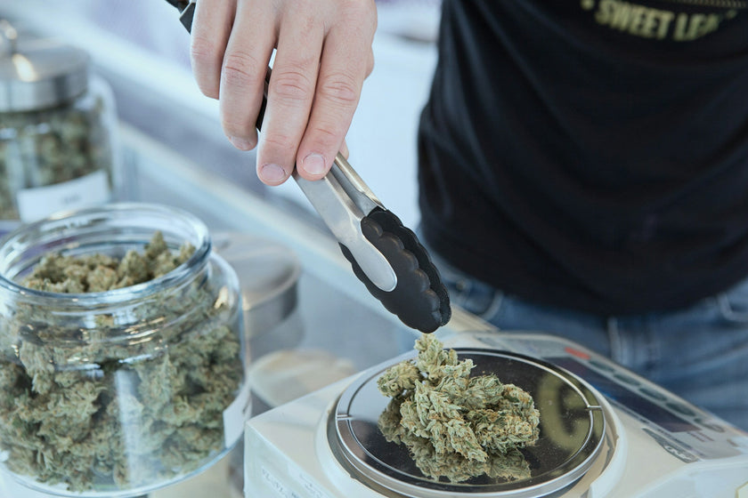 Cannabisblüten auf Waage